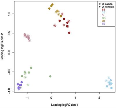 Neurogenomic Profiling Reveals Distinct Gene Expression Profiles Between Brain Parts That Are Consistent in Ophthalmotilapia Cichlids